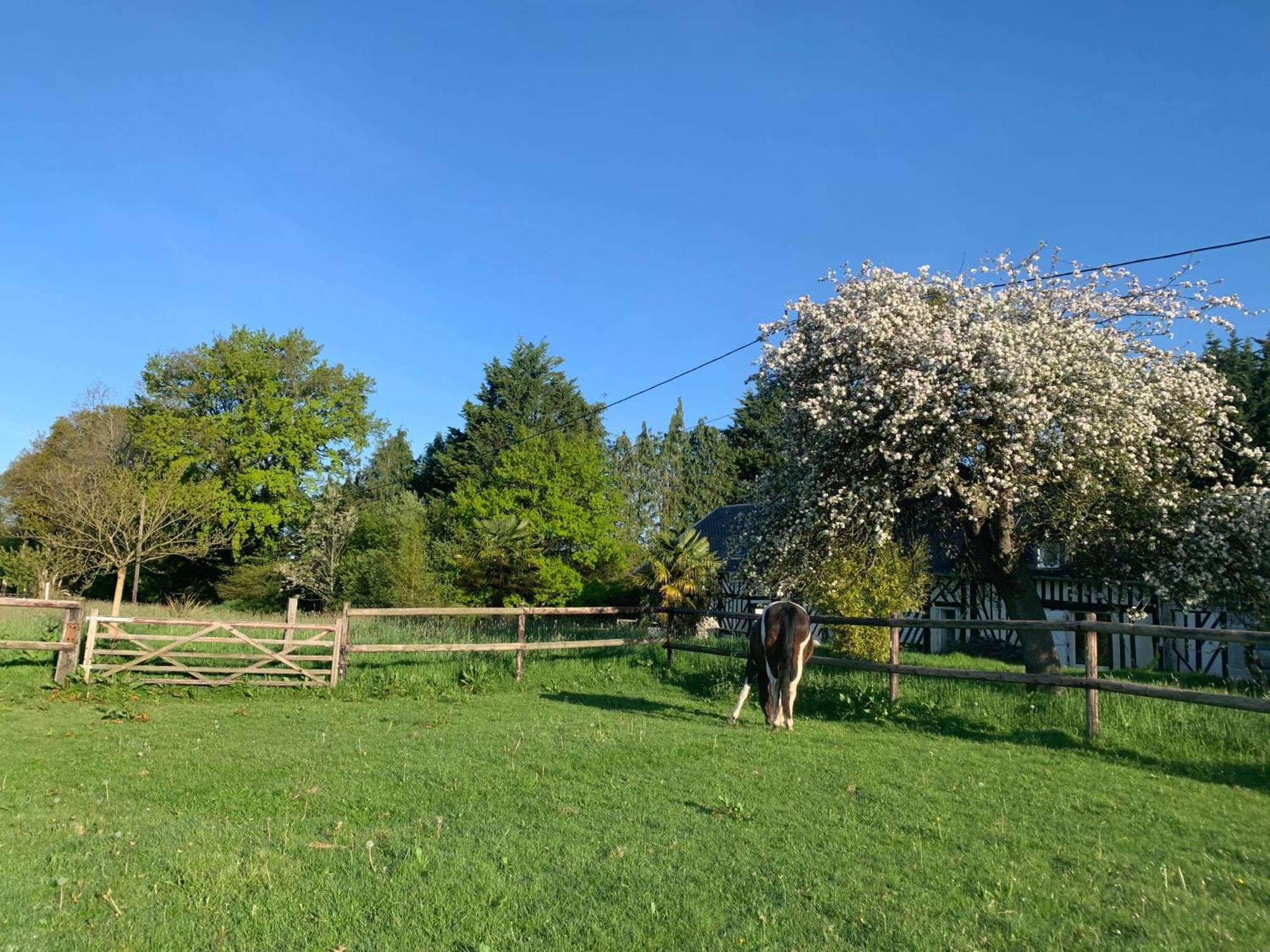 Gite Le Bonheur Est Dans Le Pre Saint-Pierre-Des-Ifs  Exterior foto