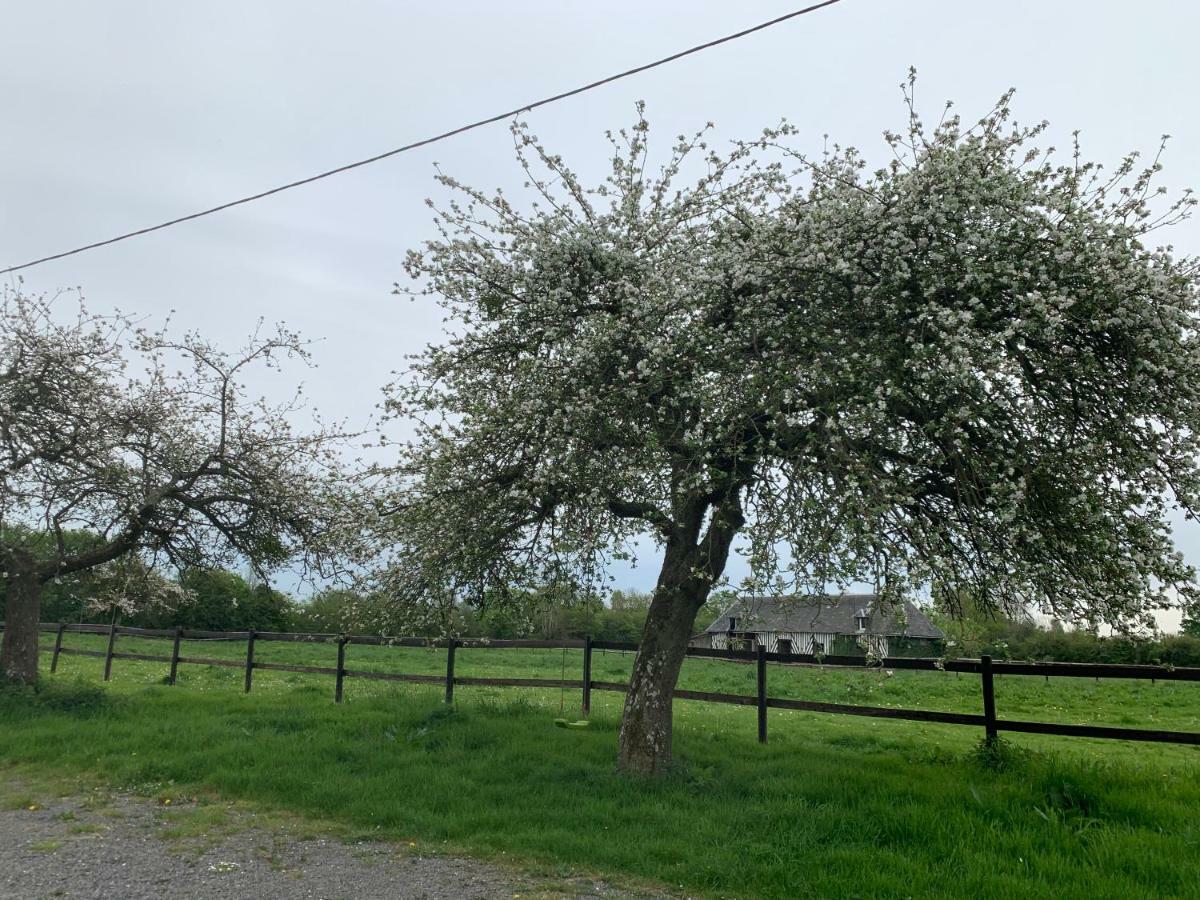 Gite Le Bonheur Est Dans Le Pre Saint-Pierre-Des-Ifs  Exterior foto